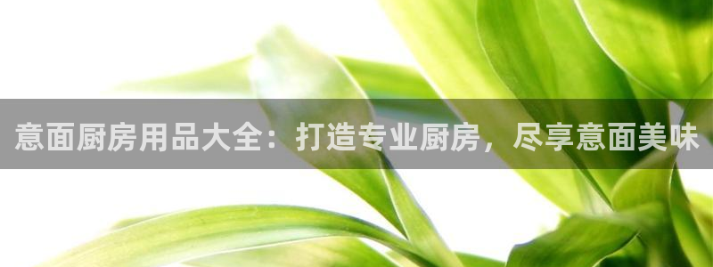 鸿运国际入口|意面厨房用品大全：打造专业厨房，尽享意面美味