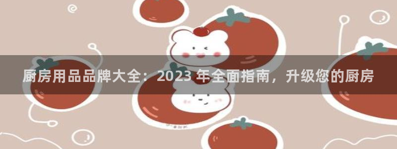 鸿运国际入口|厨房用品品牌大全：2023 年全面指南，升级您的厨房